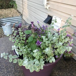 Meet your Posher, Becky